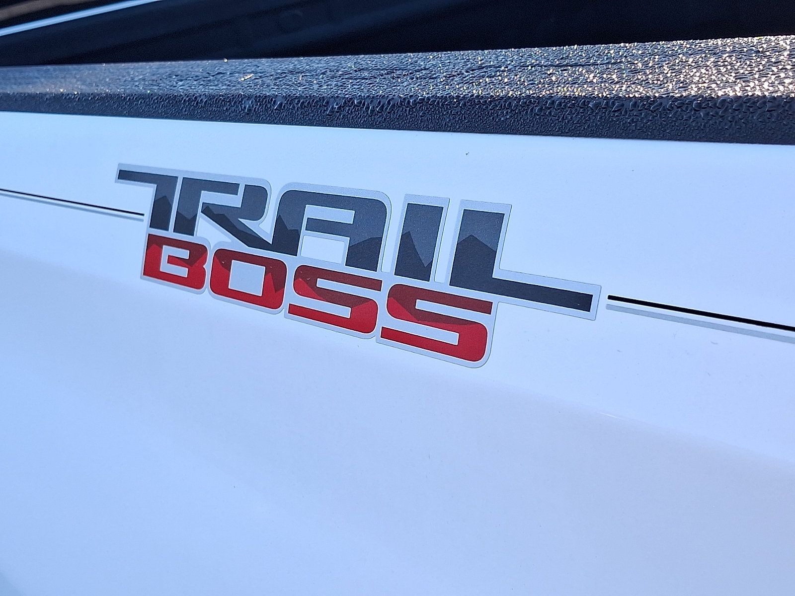 Used 2019 Chevrolet Silverado 1500 Custom Trail Boss w/ Custom Convenience Package AWD/4WD image 30