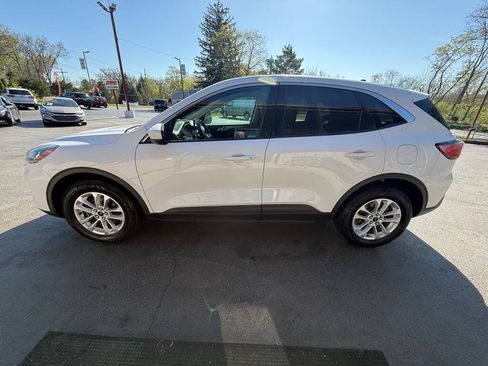 Used 2020 Ford Escape SE AWD/4WD image 5