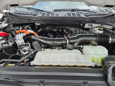 Used 2025 Ford F150 XLT w/ Equipment Group 301A Standard image 23