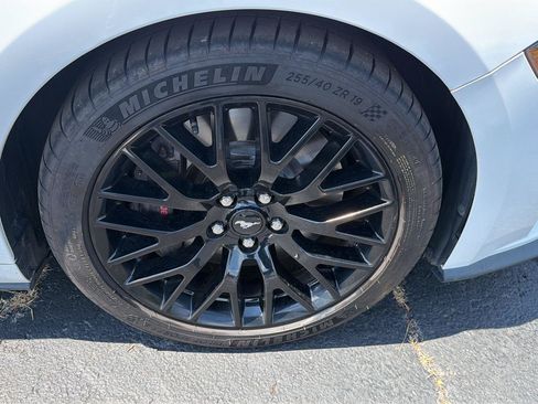 Used 2019 Ford Mustang GT Premium w/ GT Performance Package RWD image 11