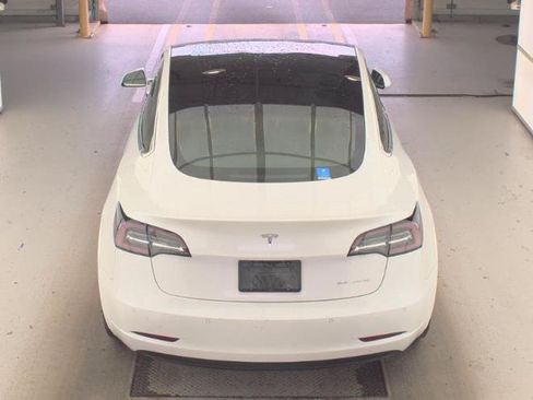 Used 2019 Tesla Model 3 Long Range AWD/4WD image 5
