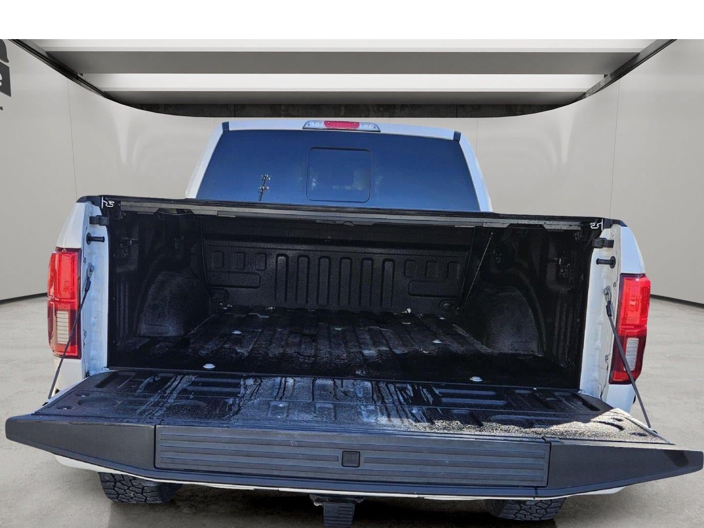 Used 2019 Ford F150 Platinum w/ Equipment Group 701A Luxury AWD/4WD image 6