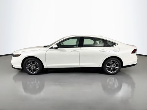 Certified 2024 Honda Accord EX-L image 8