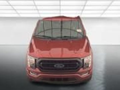 Used 2023 Ford F150 XLT w/ Equipment Group 302A High AWD/4WD image 2