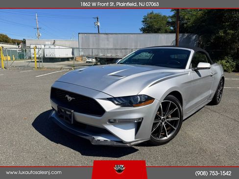 Used 2019 Ford Mustang Premium w/ Equipment Group 201A RWD image 6