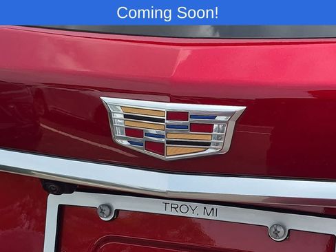 Used 2025 Cadillac XT5 Premium Luxury AWD/4WD image 11