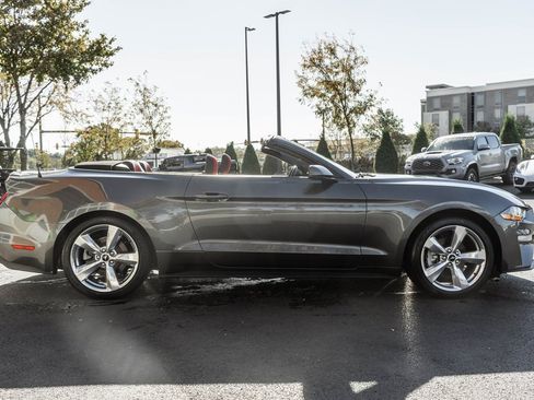 Used 2019 Ford Mustang Premium w/ Equipment Group 201A image 3