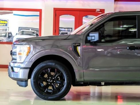 Used 2022 Ford F150 XL w/ STX Black Appearance Package image 13