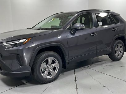 New 2025 Toyota RAV4 XLE