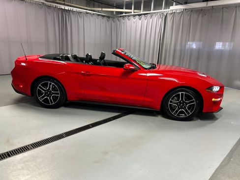 Used 2021 Ford Mustang Premium image 8