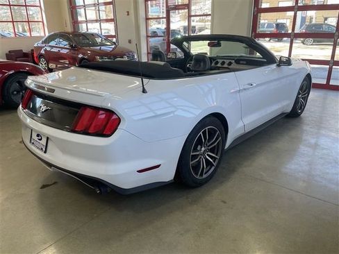 Used 2017 Ford Mustang Premium image 7