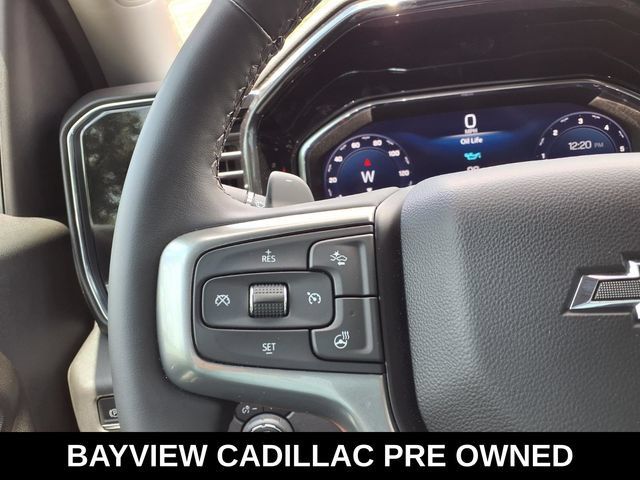 Used 2025 Chevrolet Silverado 1500 LT Trail Boss AWD/4WD image 29