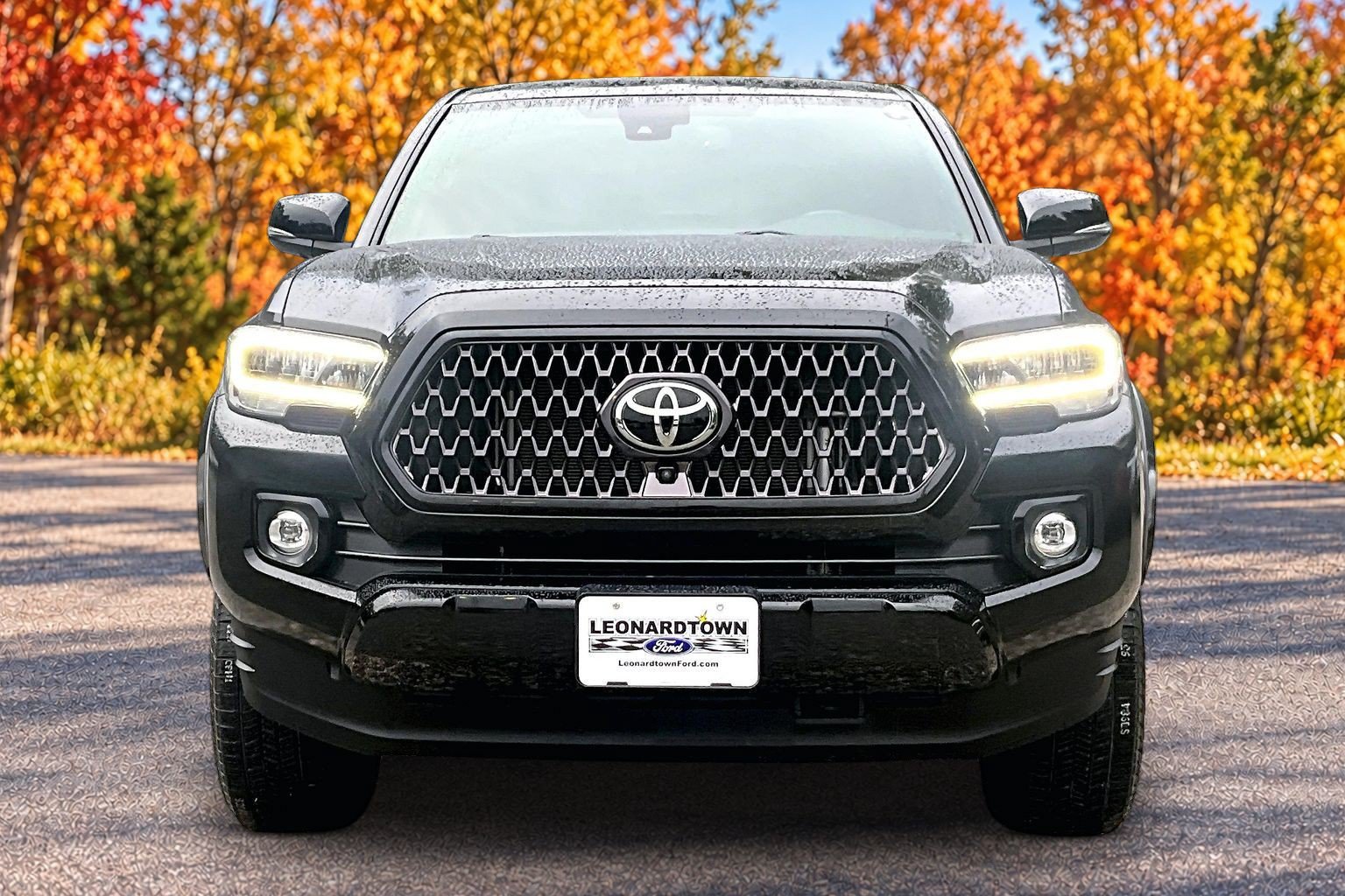 Used 2021 Toyota Tacoma Limited w/ Nightshade Package AWD/4WD image 3