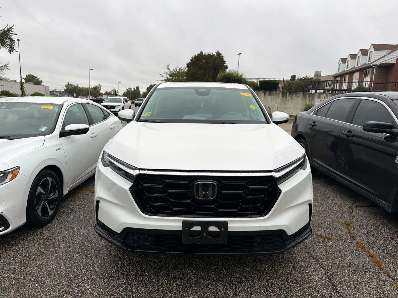 Used 2025 Honda CR-V EX-L image 4