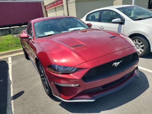 Used 2019 Ford Mustang Premium w/ Equipment Group 201A RWD image 3