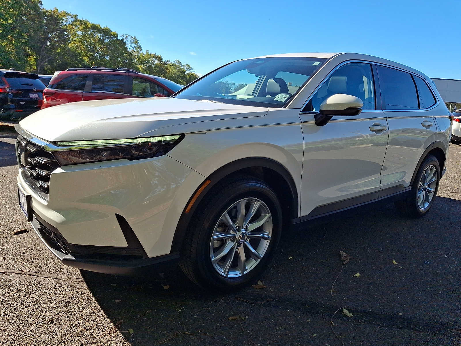 Certified 2025 Honda CR-V EX-L image 3