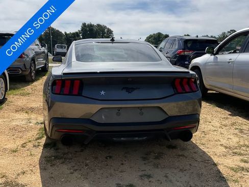 Used 2024 Ford Mustang Coupe RWD image 2
