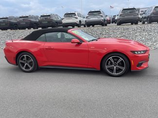 Used 2025 Ford Mustang Premium video 2