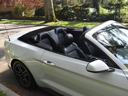 Used 2019 Ford Mustang Premium image 43