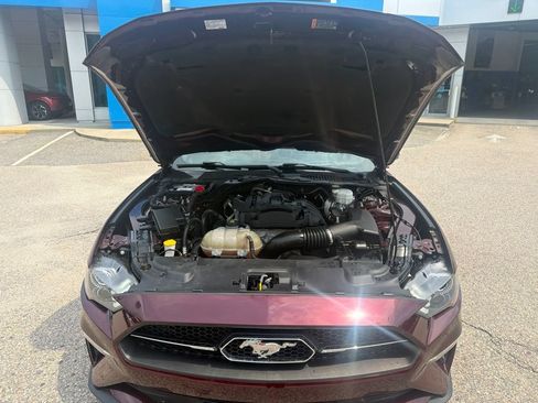 Used 2018 Ford Mustang Premium w/ Equipment Group 201A RWD image 11