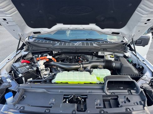 New 2025 Ford F150 XLT w/ Equipment Group 302A MID image 19