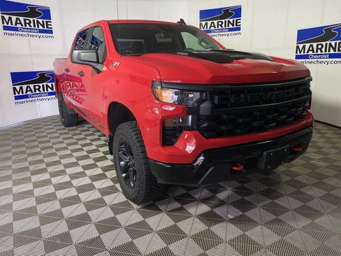 Used 2024 Chevrolet Silverado 1500 Custom Trail Boss AWD/4WD image 1