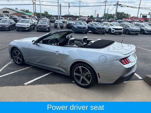 Used 2024 Ford Mustang Premium RWD image 5