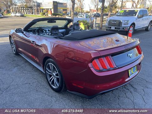 Used 2017 Ford Mustang Premium image 19