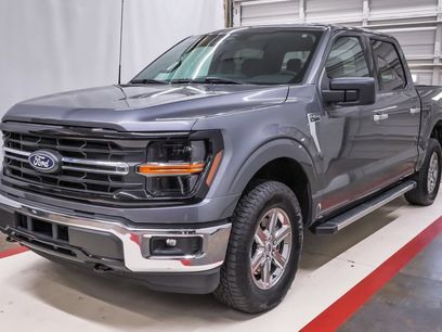 Used 2025 Ford F150 XLT w/ Equipment Group 301A Standard