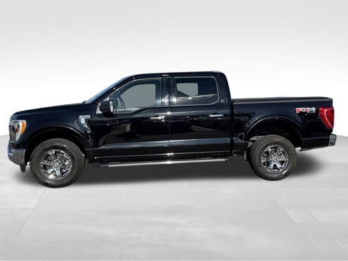 Certified 2023 Ford F150 XLT w/ Equipment Group 302A High image 4