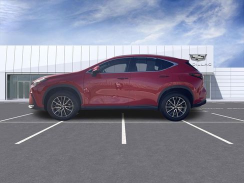 Used 2025 Lexus NX 250 FWD w/ Accessory Package (Z2) image 5