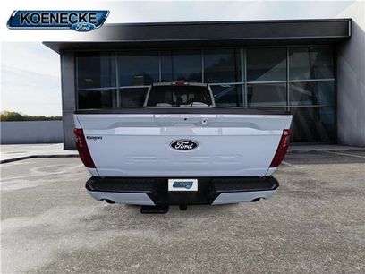 New 2025 Ford F150 XLT w/ Equipment Group 303A High