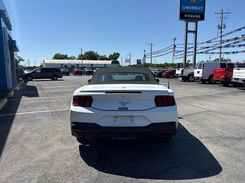 Used 2024 Ford Mustang Premium RWD image 5