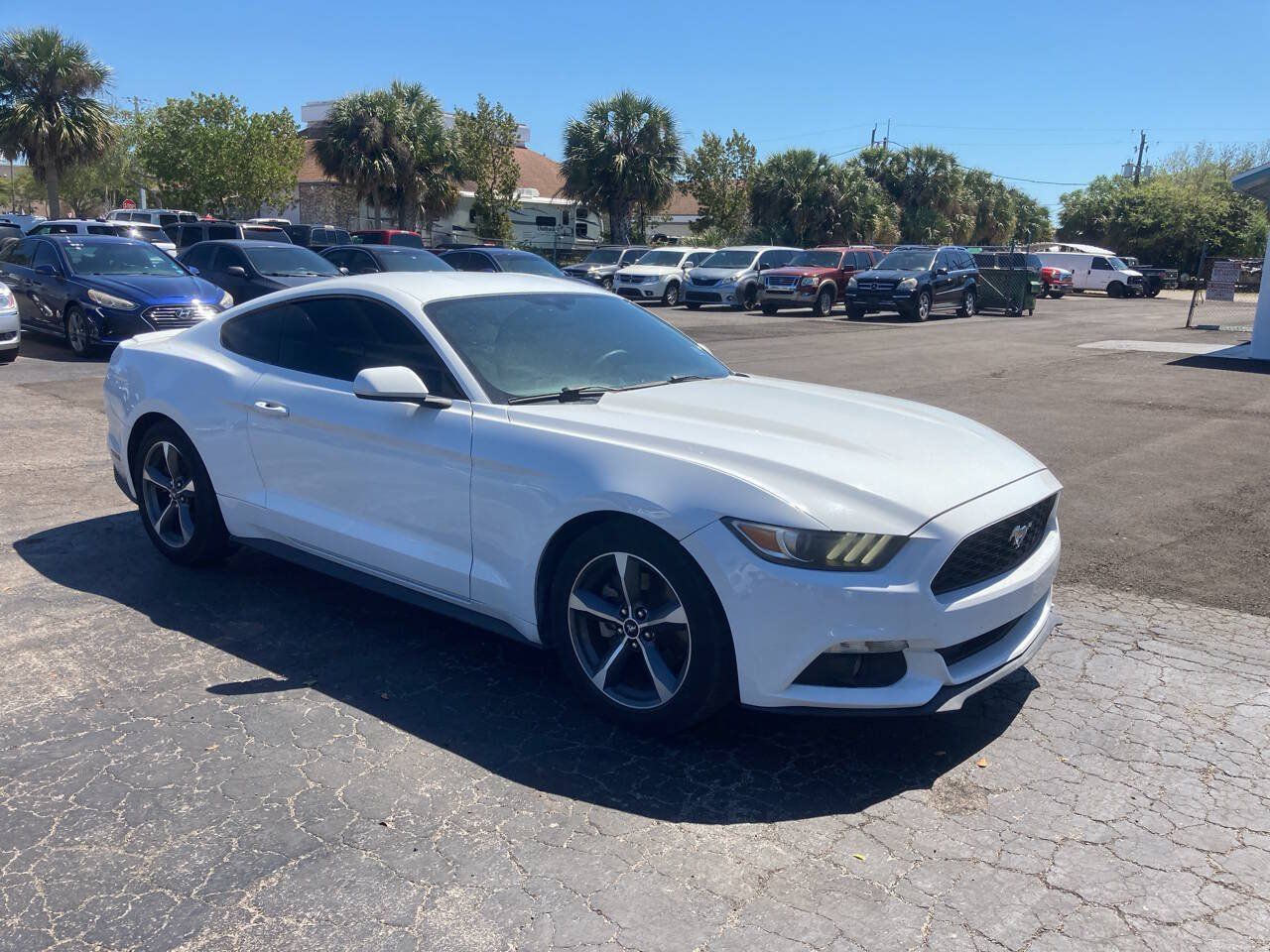 Used 2015 Ford Mustang Coupe w/ Equipment Group 051A RWD image 6