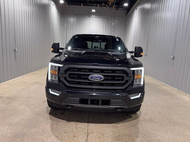 Used 2023 Ford F150 XLT w/ Equipment Group 302A High AWD/4WD image 3