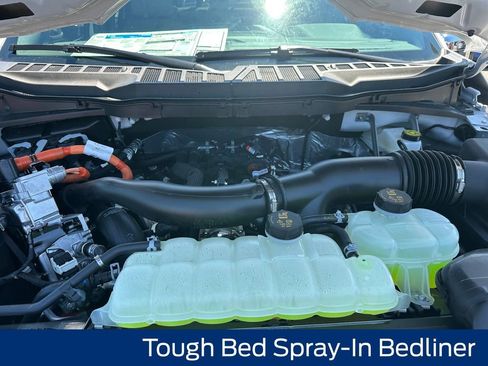 New 2025 Ford F150 XLT w/ Equipment Group 303A High image 21