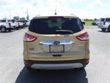 Used 2014 Ford Escape Titanium image 5