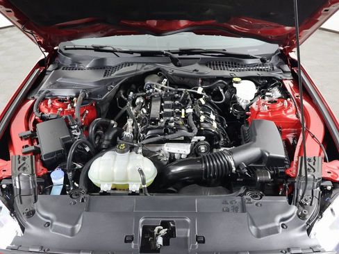 Used 2023 Ford Mustang Premium w/ Equipment Group 201A image 15