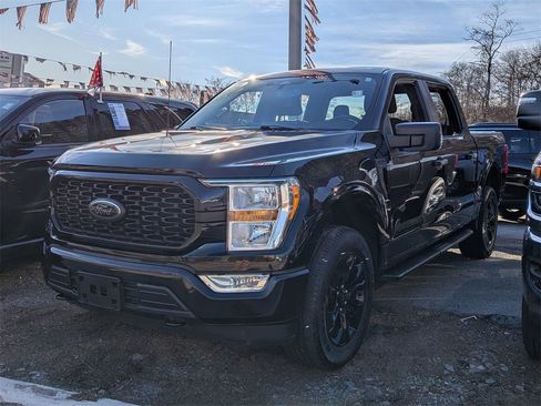 Used 2022 Ford F150 XL w/ STX Black Appearance Package image 1