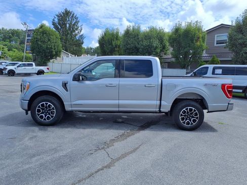 Used 2023 Ford F150 XLT w/ Equipment Group 302A High image 2