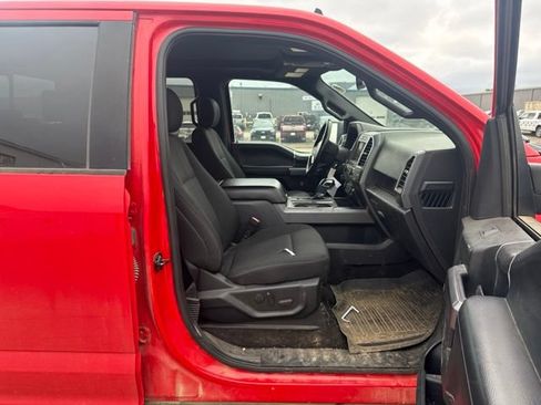Used 2019 Ford F150 XLT w/ Equipment Group 302A Luxury AWD/4WD image 14