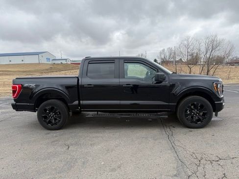 Used 2023 Ford F150 XL w/ STX Black Appearance Package image 5