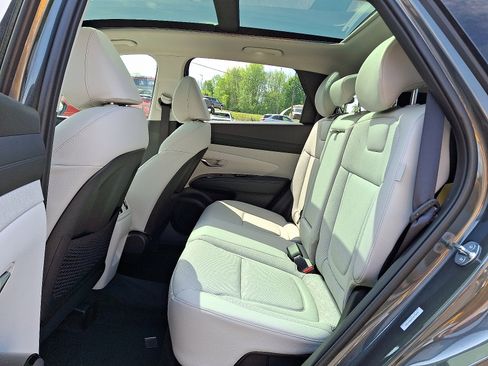New 2026 Hyundai Tucson Limited AWD/4WD image 5