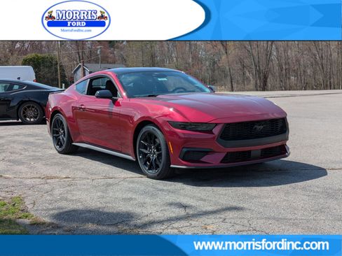 New 2026 Ford Mustang Coupe w/ Mustang Nite Pony Package RWD image 8