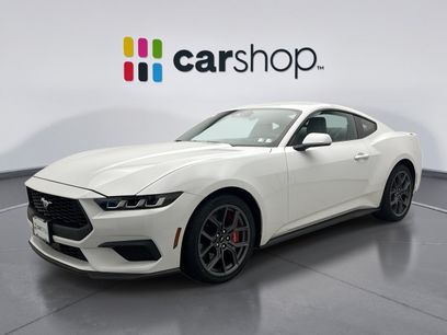 Used 2024 Ford Mustang Coupe w/ 2.3L High Performance Package