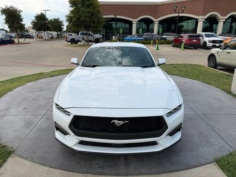 Used 2024 Ford Mustang Premium RWD image 3