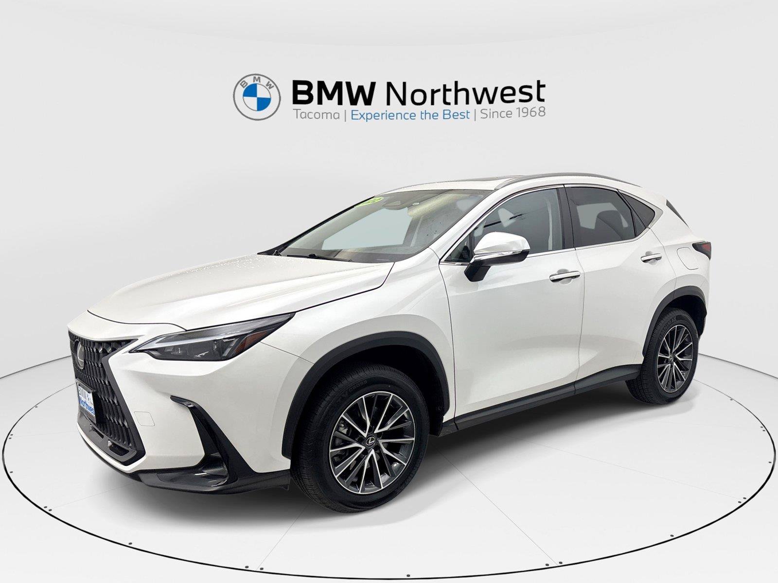 Used 2022 Lexus NX 350 AWD w/ Cold Area Package image 1