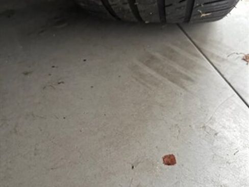 Used 2005 Jaguar XK8 Convertible image 23