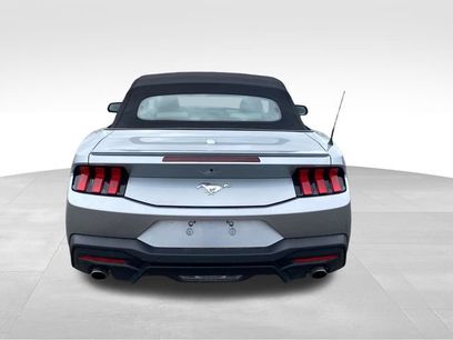 Used 2024 Ford Mustang Premium