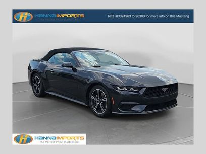 Used 2024 Ford Mustang Premium